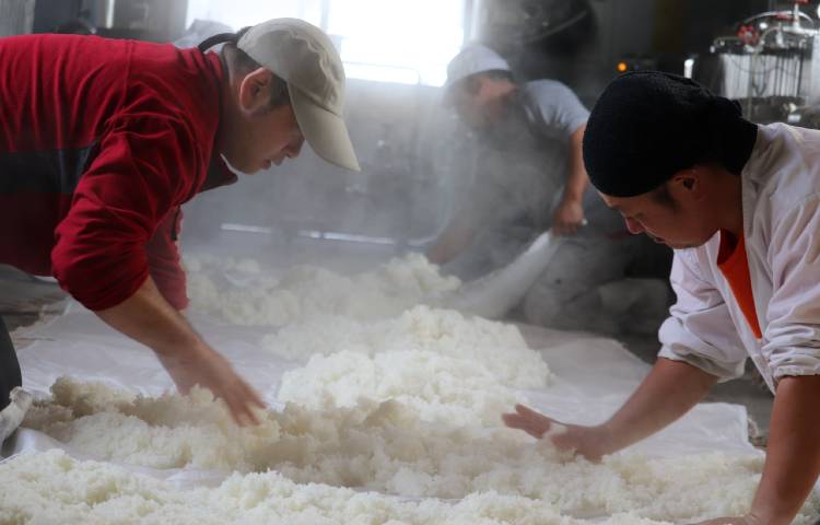 日本酒 渡會本店 庄内美人 の魅力を教えていただきました コラム スチームクリーム公式オンラインストア